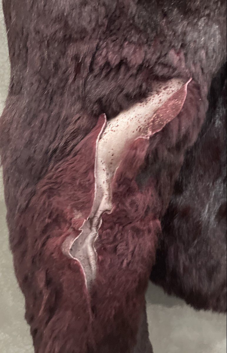 Vintage Niki Women's Burgundy Real Fur Coat Rayon Lining Made in HK Sz L