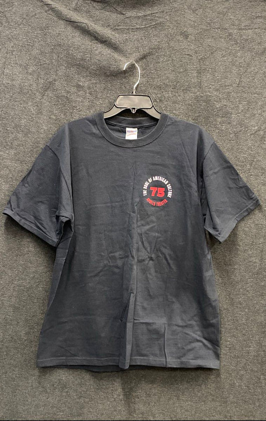 Apollo Theater 75th Anniversary Men's T-Shirt Gray Harlem NYC Graphic Sz L