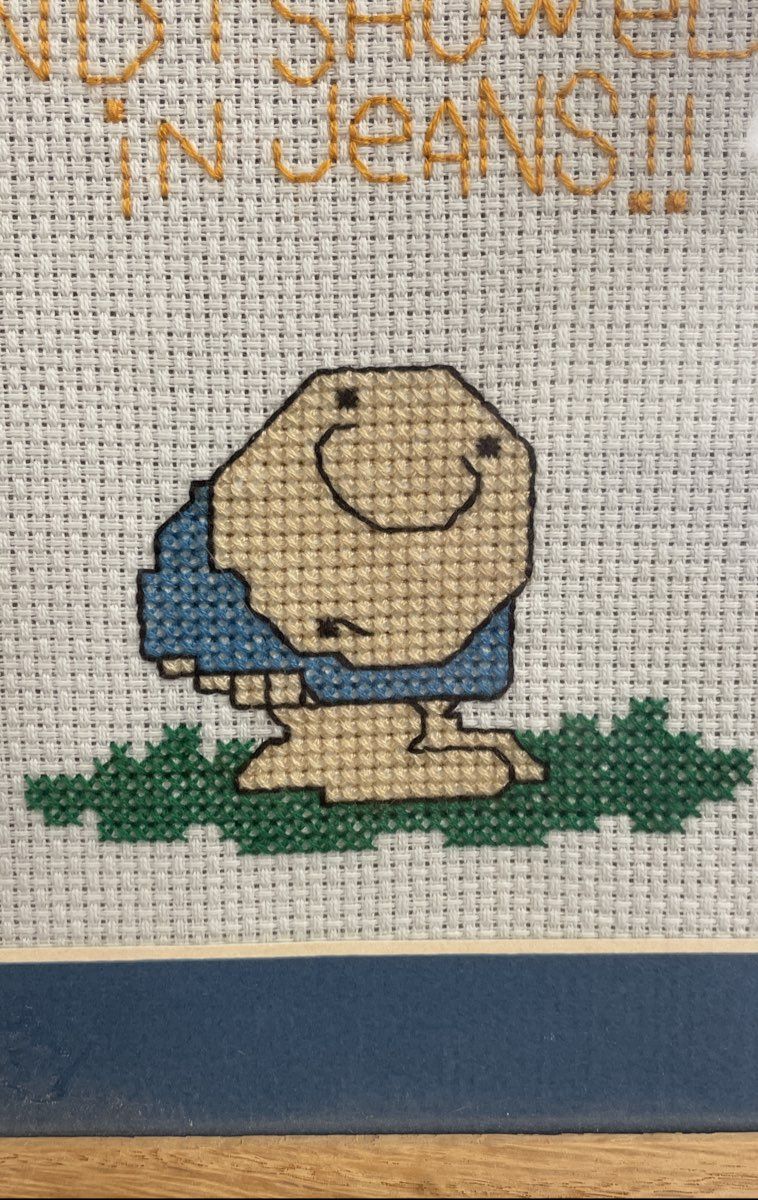 Framed Knit Square "Life is a Formal" Cartoon