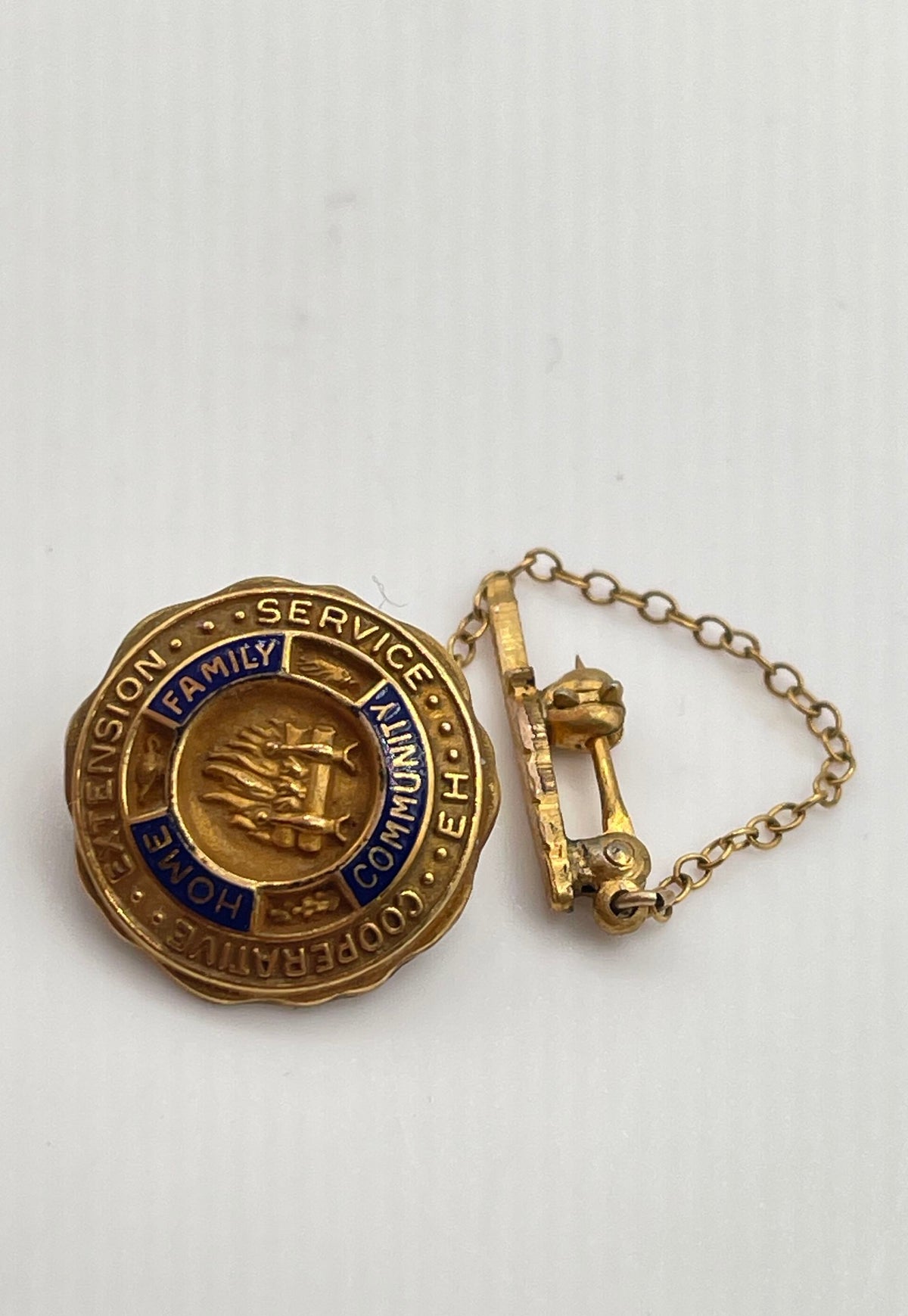 Cooperative Extension Service 1/10 10k GF Blue Enamel Chain Lapel Pin 2.2g