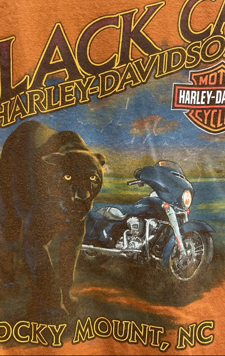 Harley-Davidson Black Cat Rocky Mount NC American Iron Graphic T-Shirt Sz M