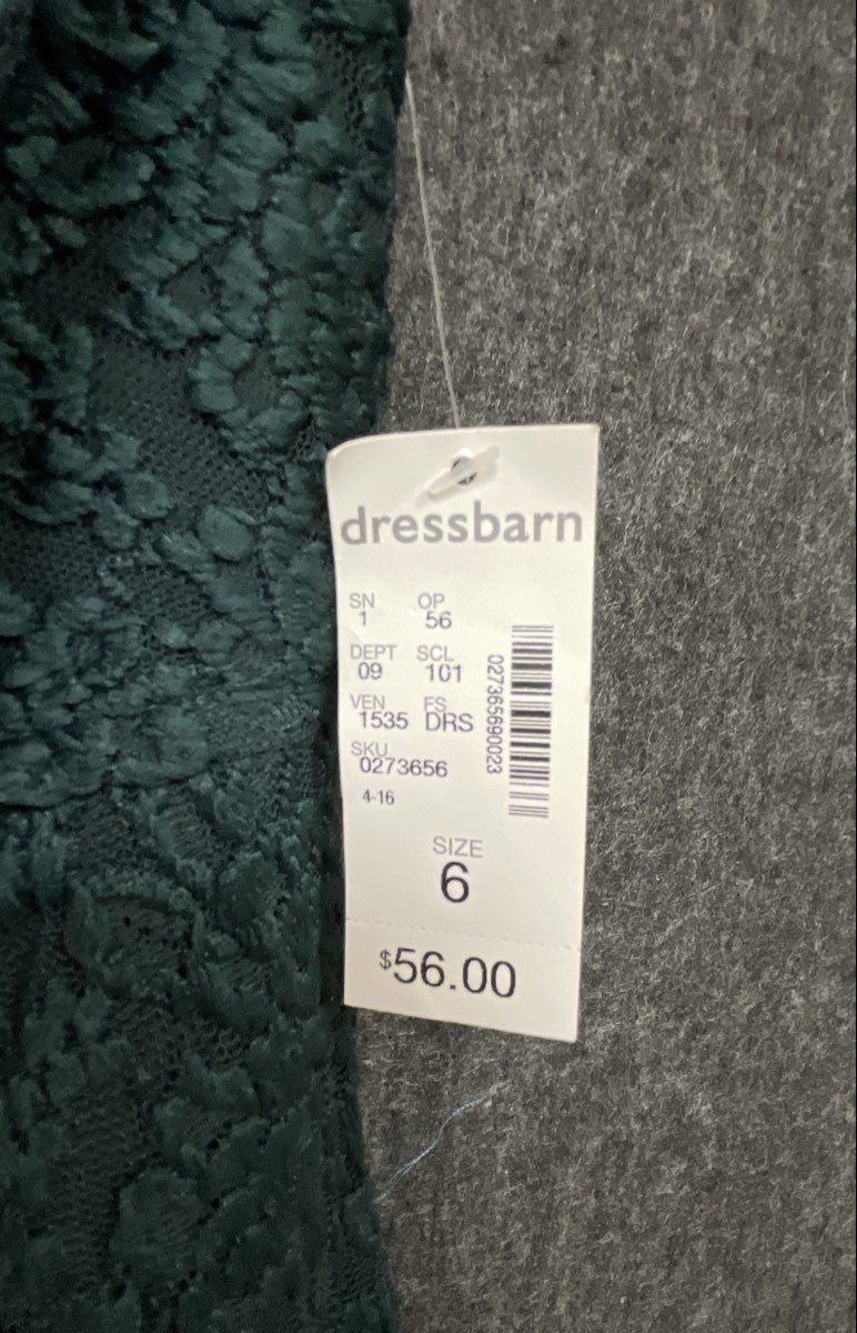 Dress Barn Women's Green Floral Lace Sleeveless V-Neck Scalloped Dress Sz 6 NWT