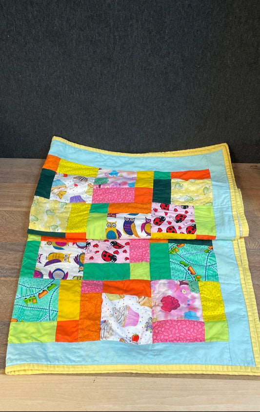 Richmond Modern Quilters Guild Handmade Baby Quilt Patchwork Owl Ladybug