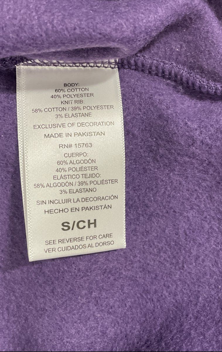 Champion Women's Purple Graphic Logo Pullover Hoodie Size S NWT