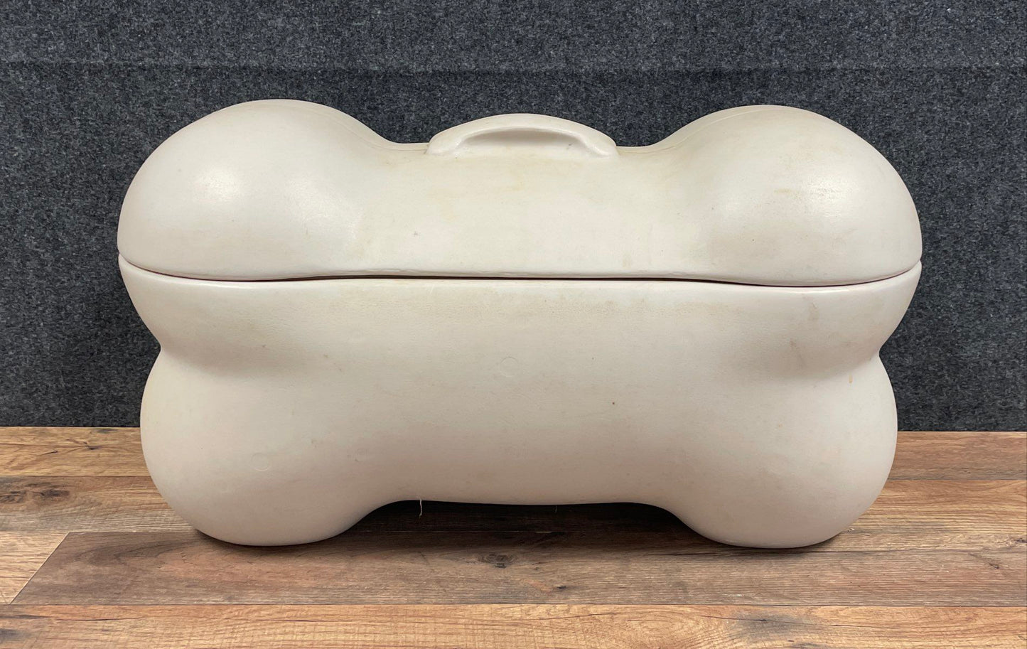 Pet Zone Plastic Dog Bone Storage Chest