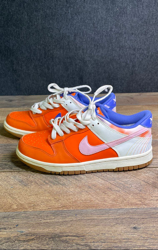Nike Dunk Low SE Everything You Need Orange White Blue Youth Size 6Y