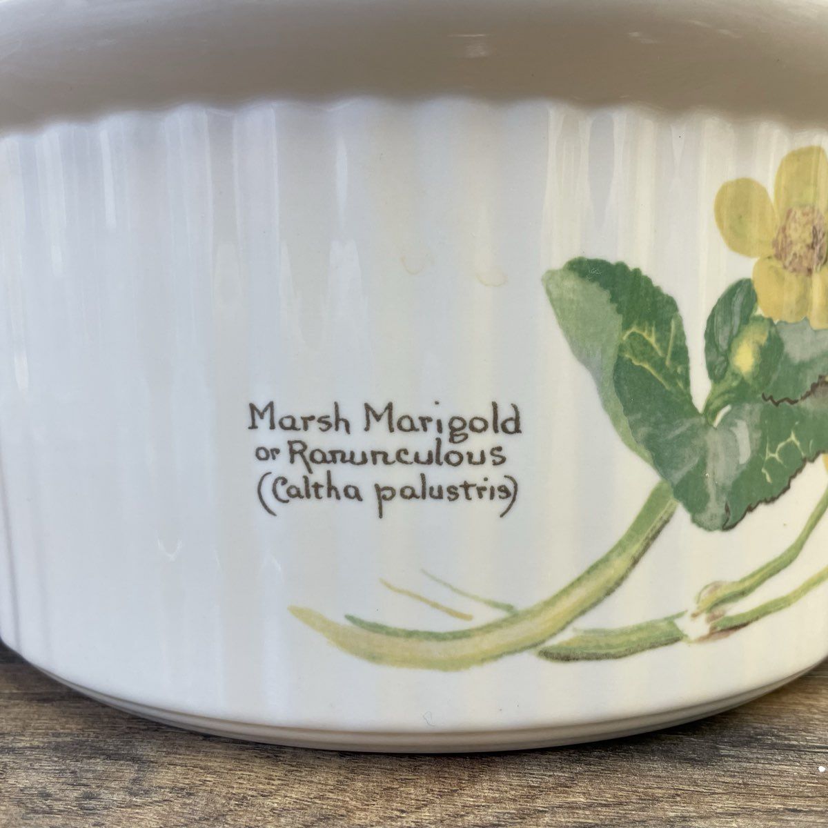 Ceramic Bowl Marsh Marigold or Ranunculus