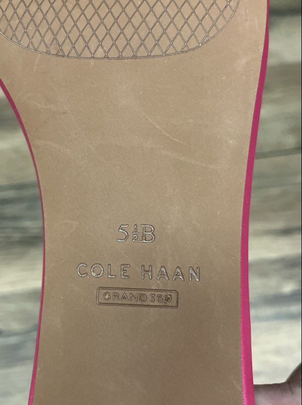 Cole Haan Grand 360 Pink Suede Ankle Strap Block Heel Sandals Size 5.5