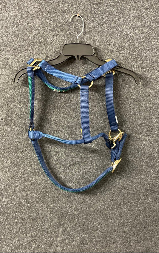 Triple E Horse Halter Blue Green Nylon Brass Hardware Personalized "ELLA"