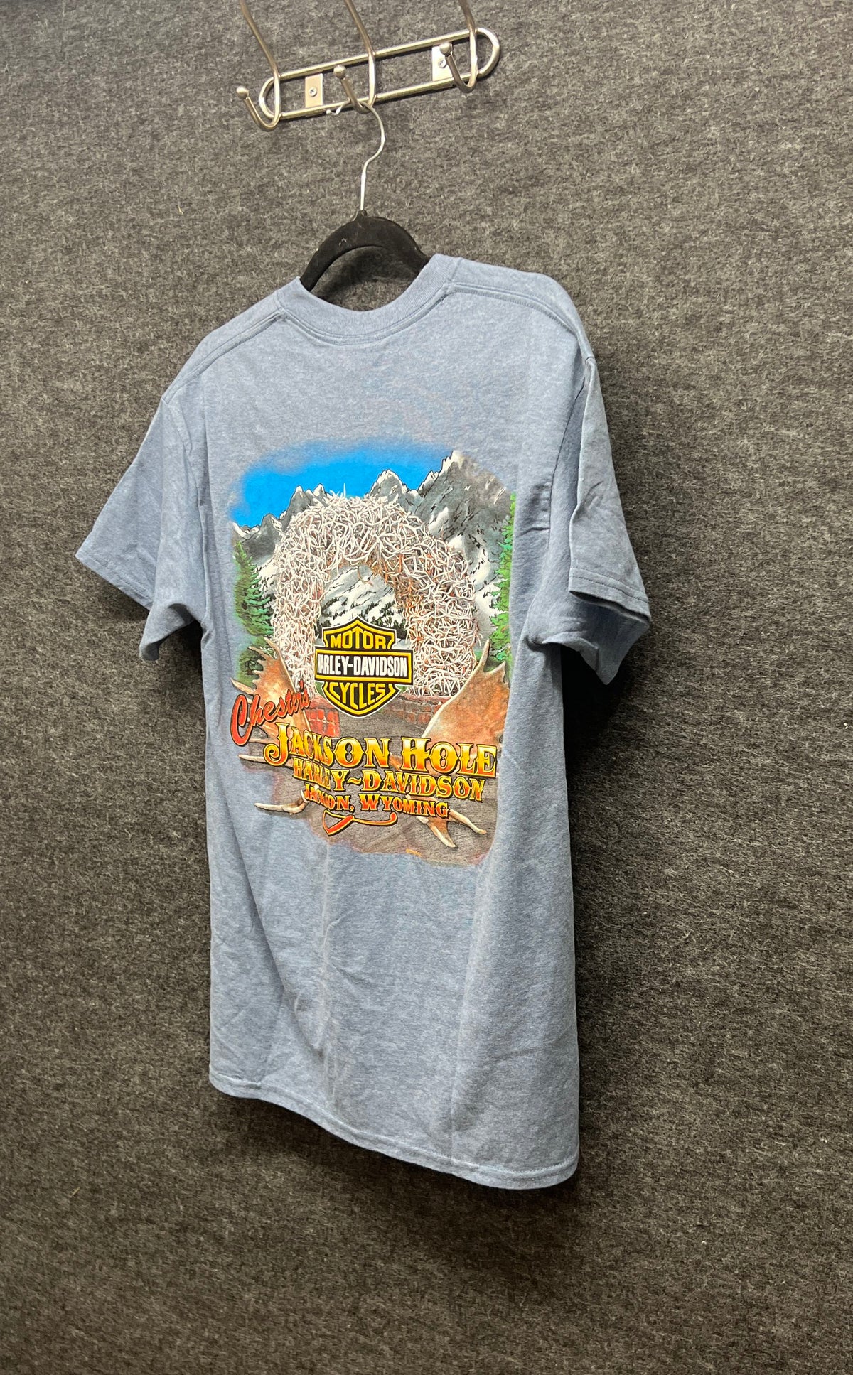 Harley-Davidson Jackson Hole Wyoming Graphic T-Shirt Blue Heather Sz M