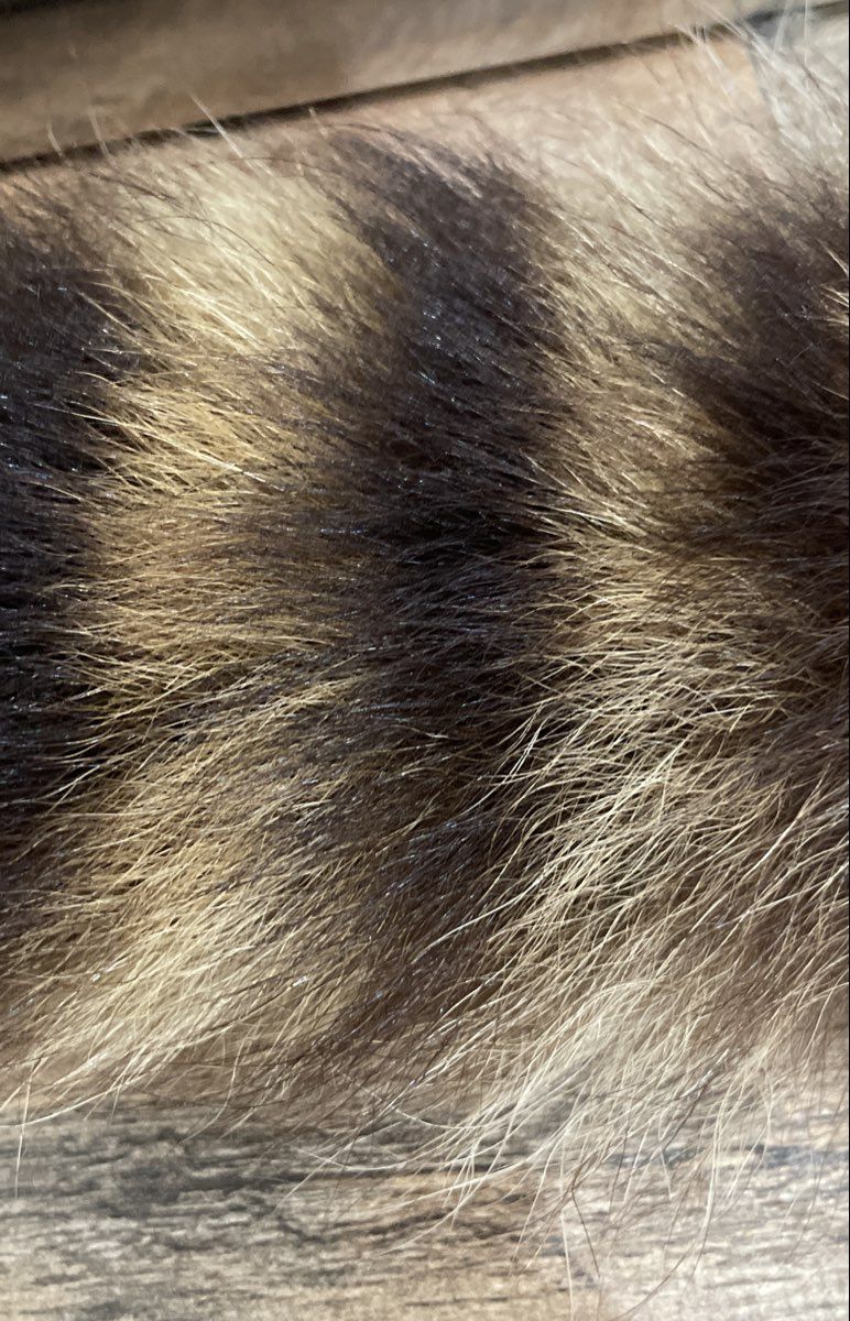 Vintage Unisex Raccoon Skin Cap Real Fur Davy Crockett Hat with Tail Brown Gray