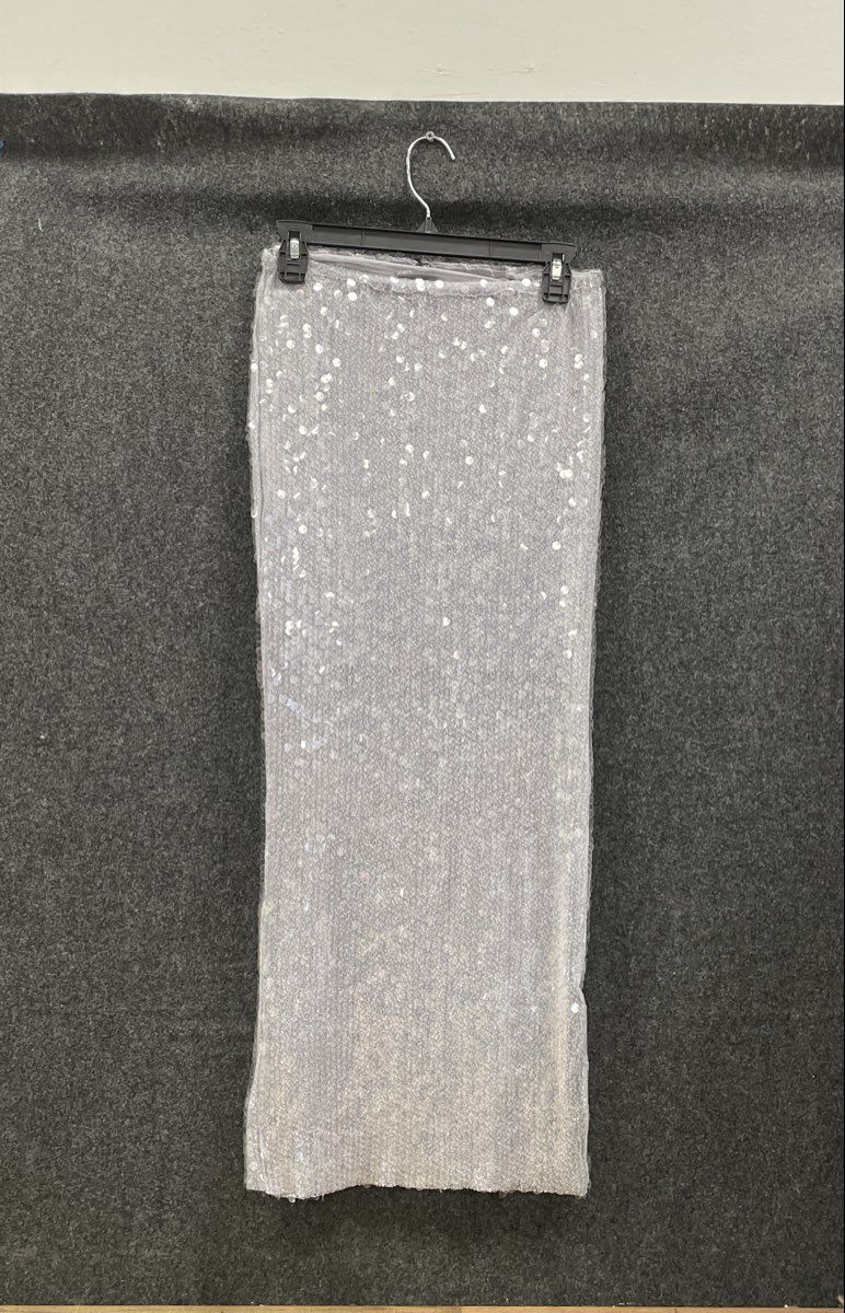 Zara Women's Silver Sequin Mesh Maxi Skirt Embellished Side Slit NWT Sz M