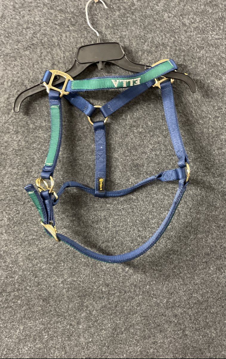 Triple E Horse Halter Blue Green Nylon Brass Hardware Personalized "ELLA"