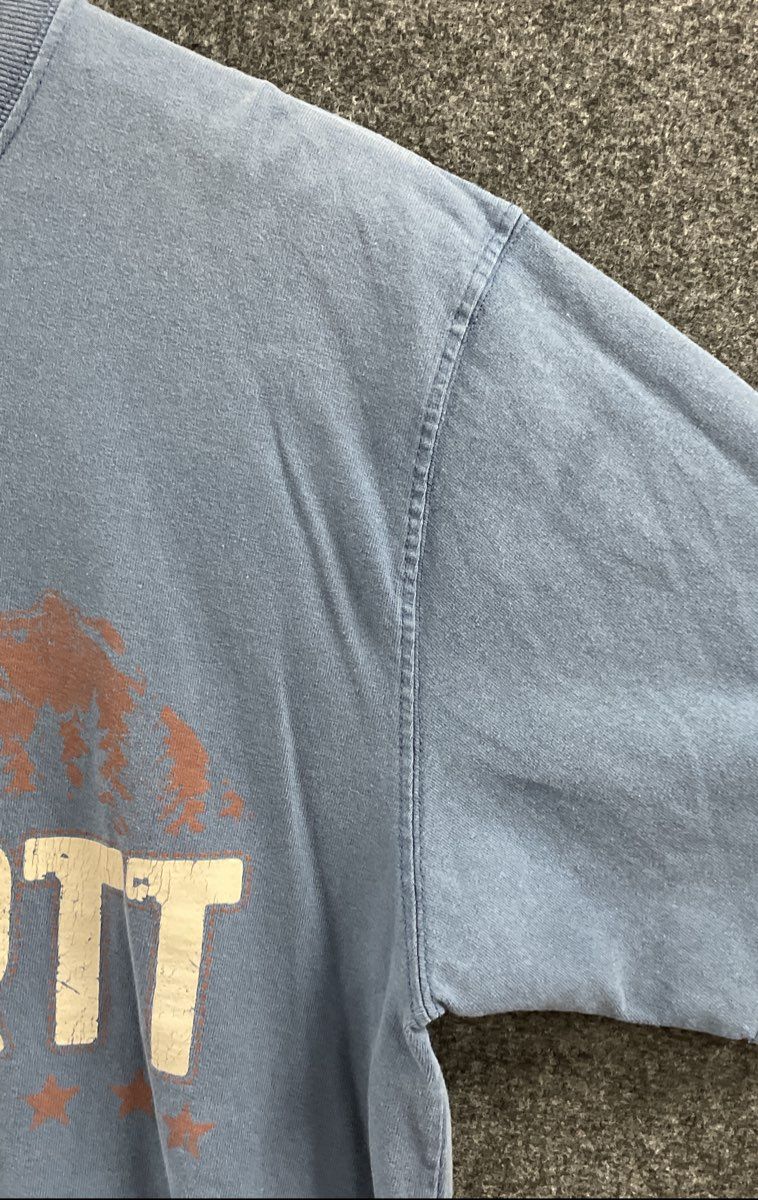 Carhartt Men's Blue Short Sleeve Mountain Graphic Cotton T-shirt Sz M