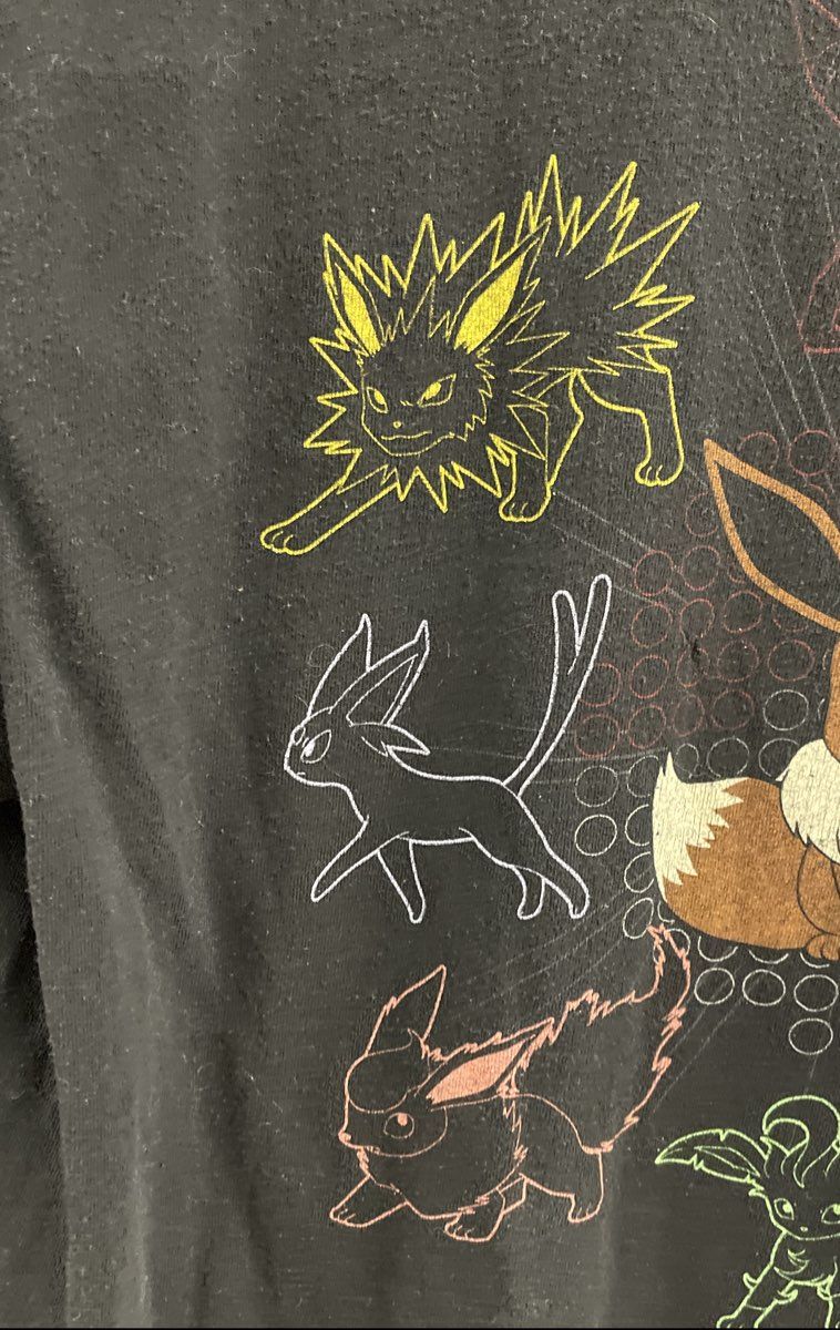 We Love Fine Men's Black Pokemon Eevee Eeveelutions Graphic T-Shirt Size L