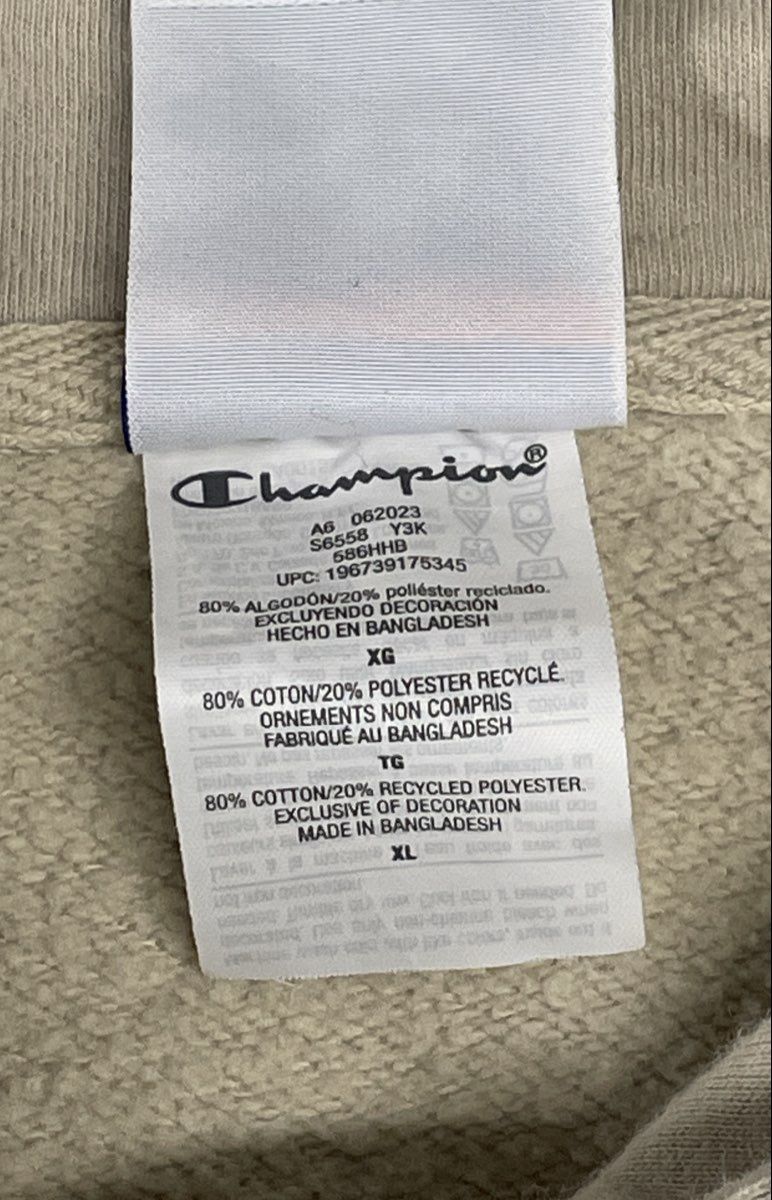 Champion Men's Tan Mountain Landscape Graphic Hoodie Pullover Sweatshirt Sz XL