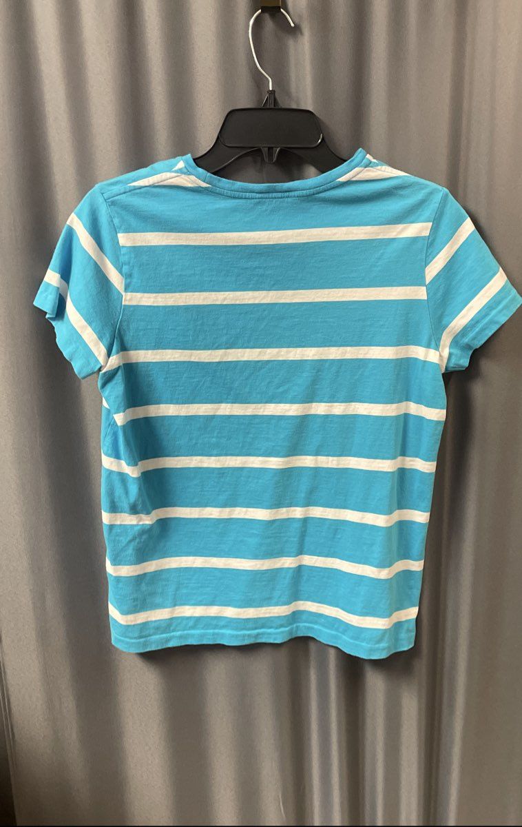 Polo Ralph Lauren Men's Striped Crewneck T-Shirt Blue White Sz M