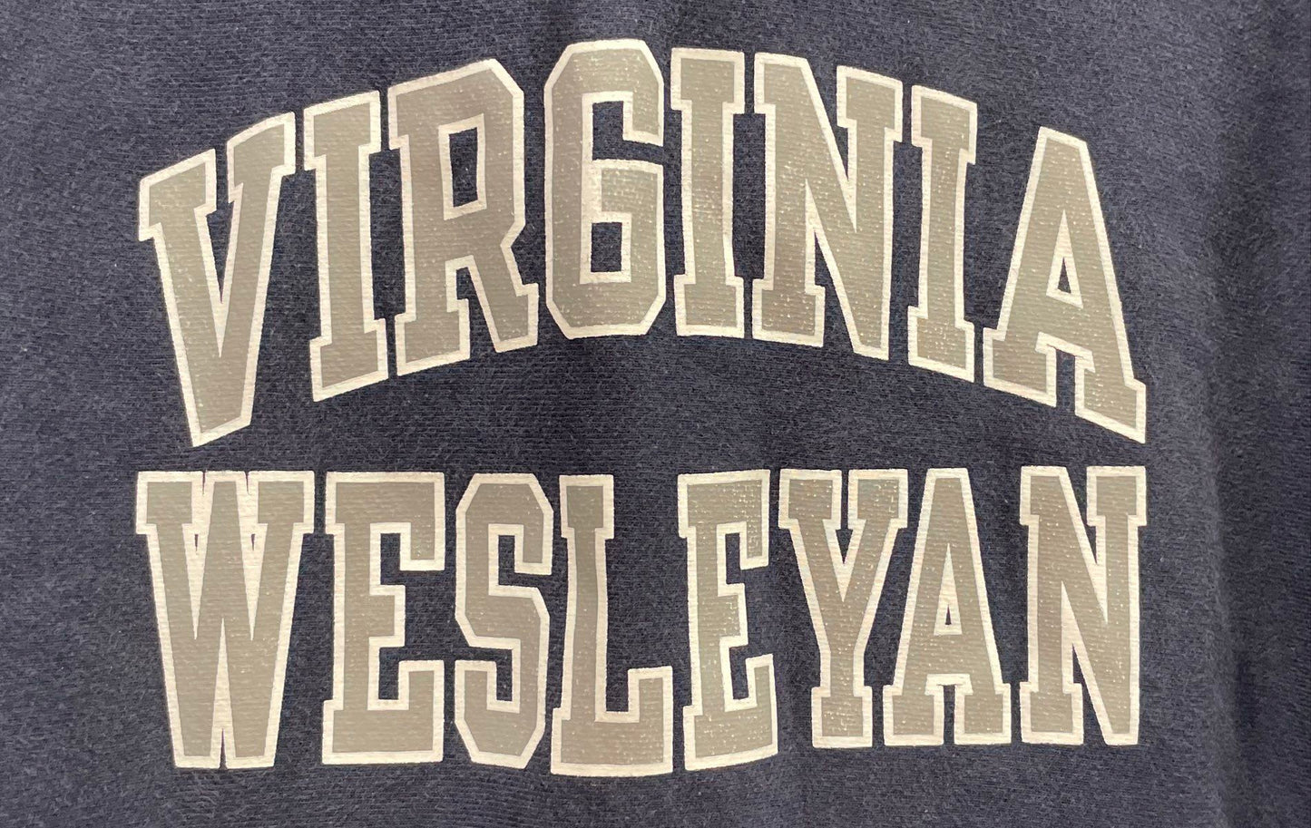 Champion Men's Virginia Wesleyan Reverse Weave Hoodie Navy Blue Pullover Sz L