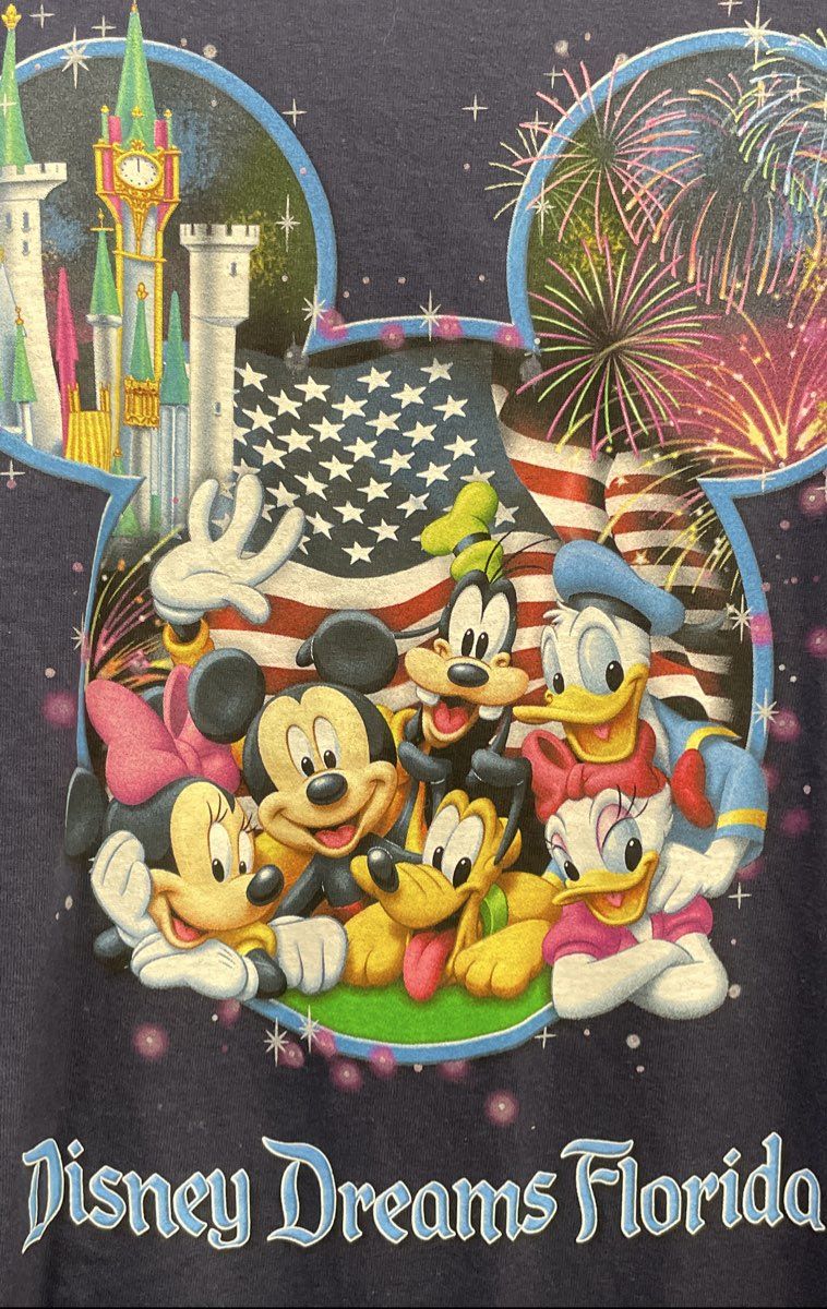 NWT Adult Size 3XL Vintage Disney T-Shirt