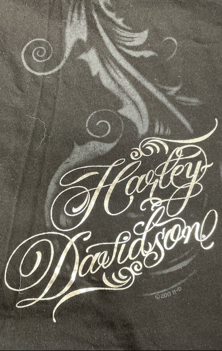 Harley-Davidson Daytona Beach Bruce Rossmeyer Strappy V-Neck Graphic Shirt Sz L