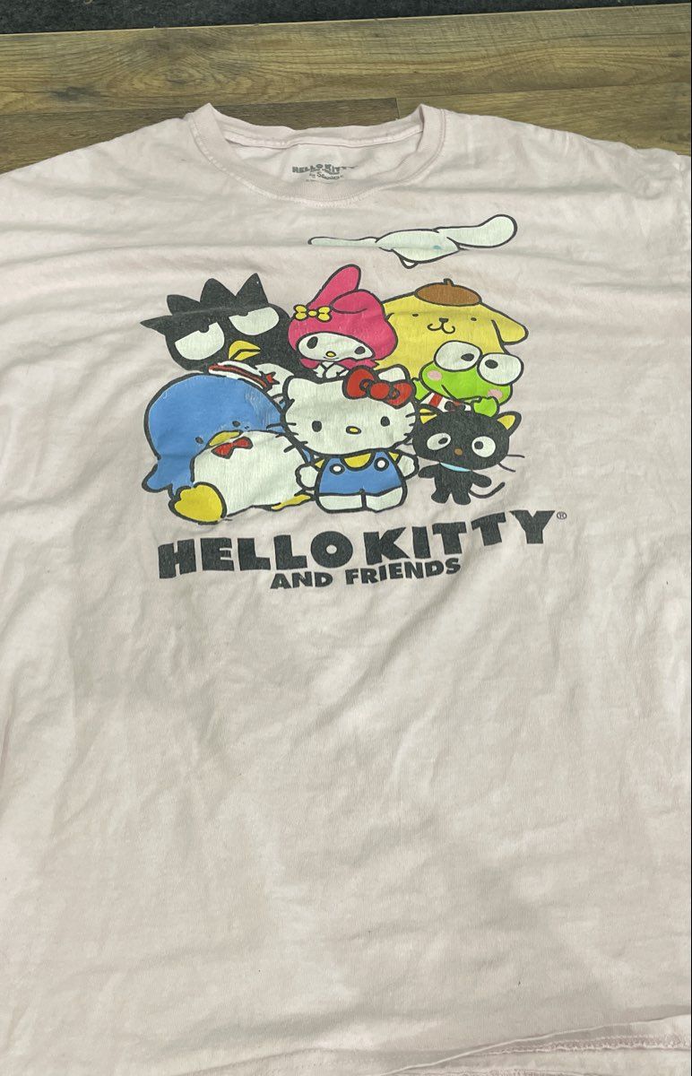 Sanrio Women's Hello Kitty and Friends Pink Character Graphic T-Shirt Sz XL