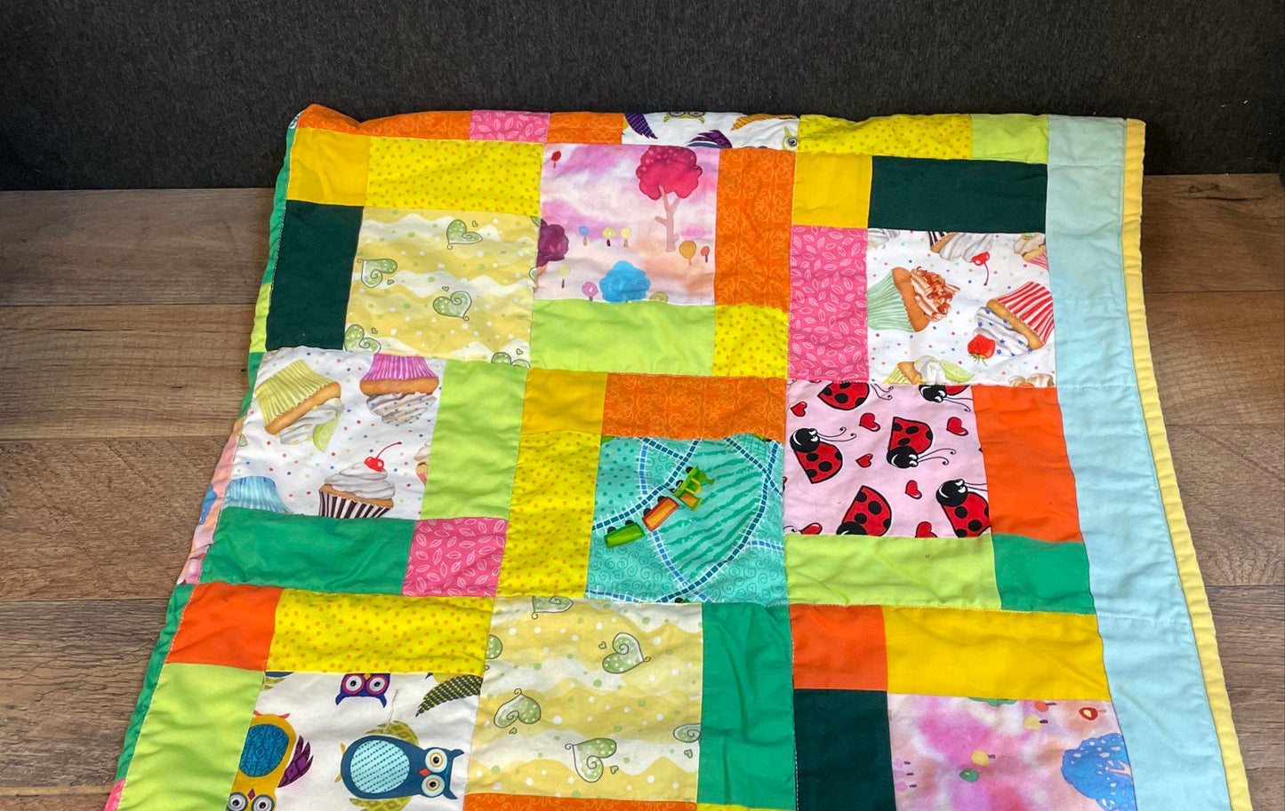 Richmond Modern Quilters Guild Handmade Baby Quilt Patchwork Owl Ladybug