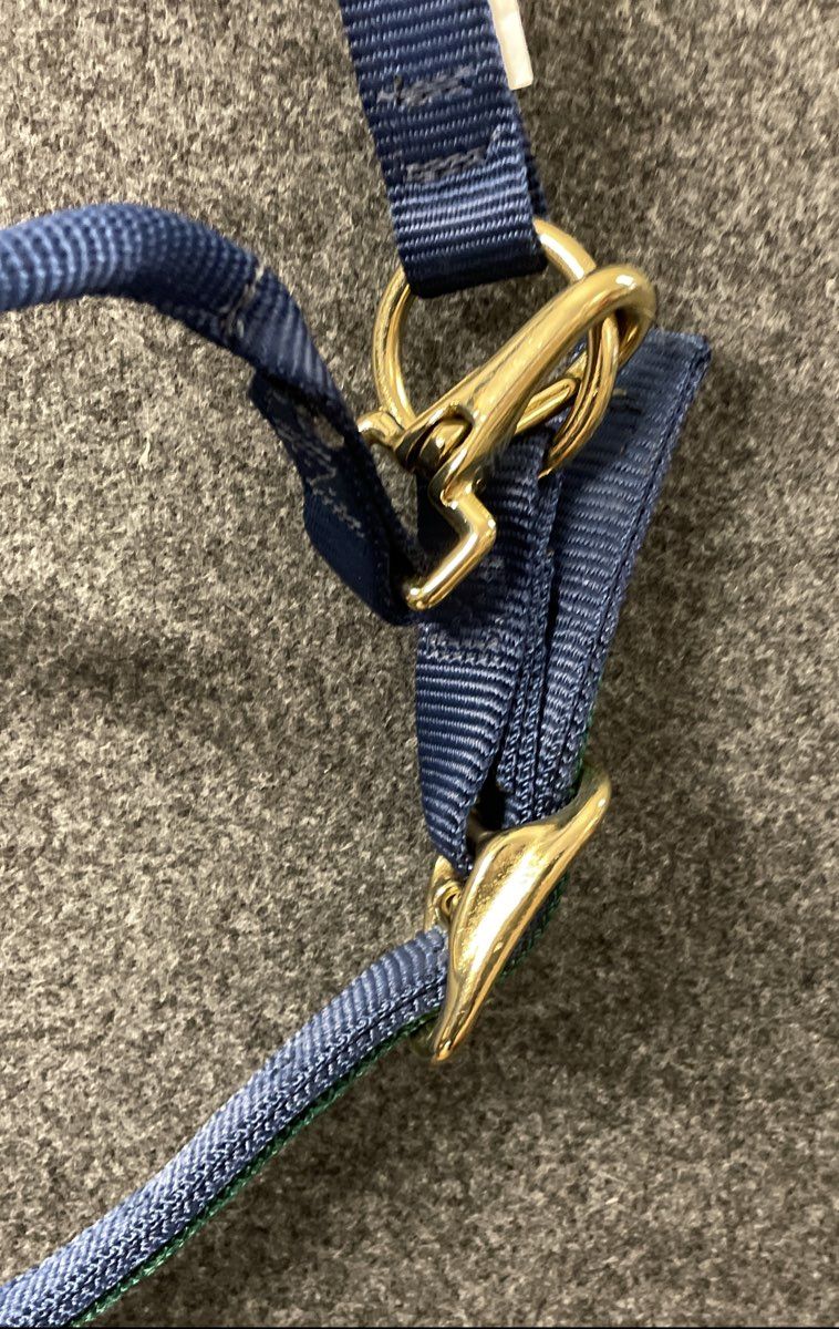Triple E Horse Halter Blue Green Nylon Brass Hardware Personalized "ELLA"