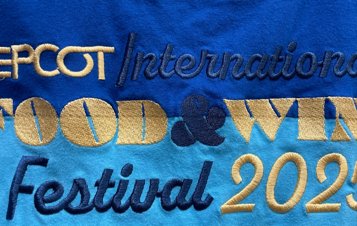 Disney Men's EPCOT International Food & Wine Festival 2025 T-Shirt Blue Sz L