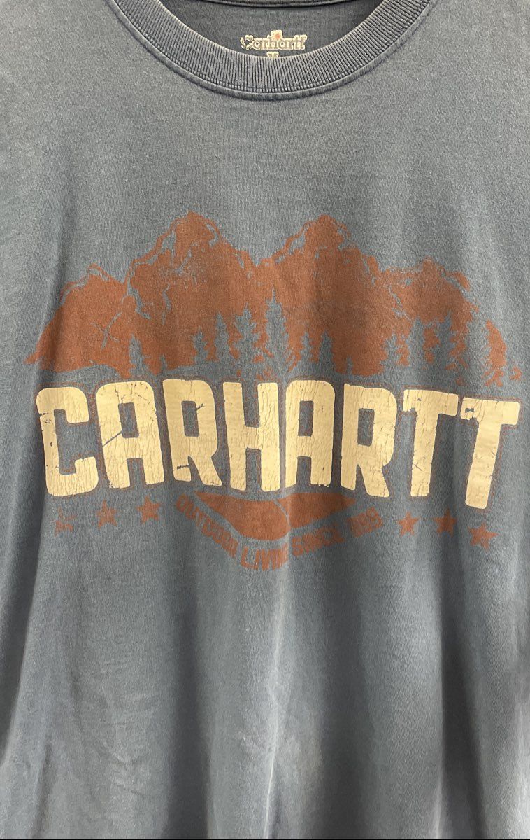 Carhartt Men's Blue Short Sleeve Mountain Graphic Cotton T-shirt Sz M