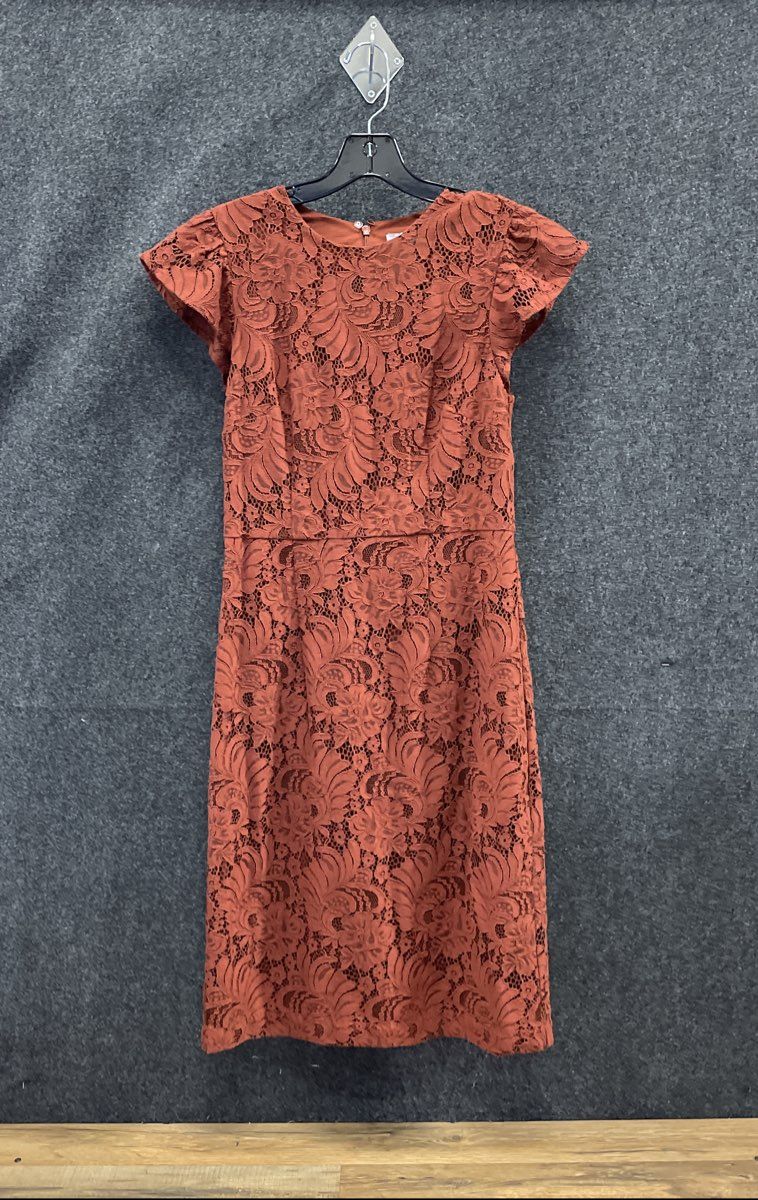 H&M Women's Rust Brown Floral Lace Sheath Dress Flutter Cap Sleeve Sz 8