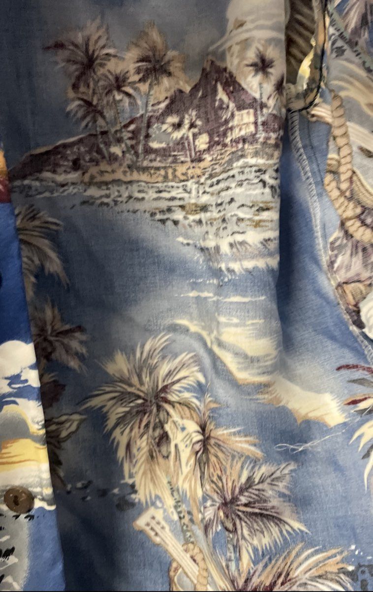 Vintage 90s Hilo Hattie Boy's Blue Rayon Tropical Scenic Hawaiian Shirt Sz XL