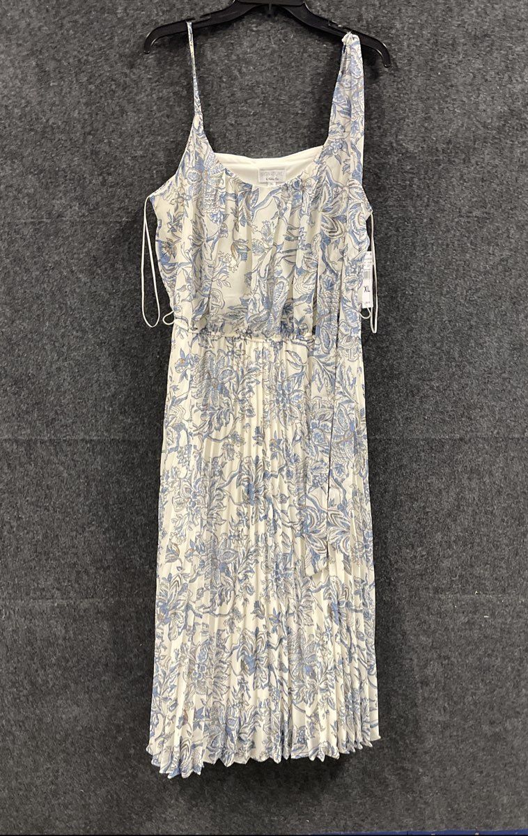 Signature by Robbie Bee Women's White Blue Floral Pleated Maxi Dress NWT Sz XL