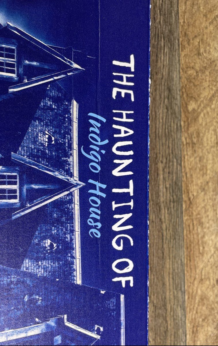 The Deadbolt Mystery Society 2 Game Lot Carnival of Chaos & Haunting of Indigo