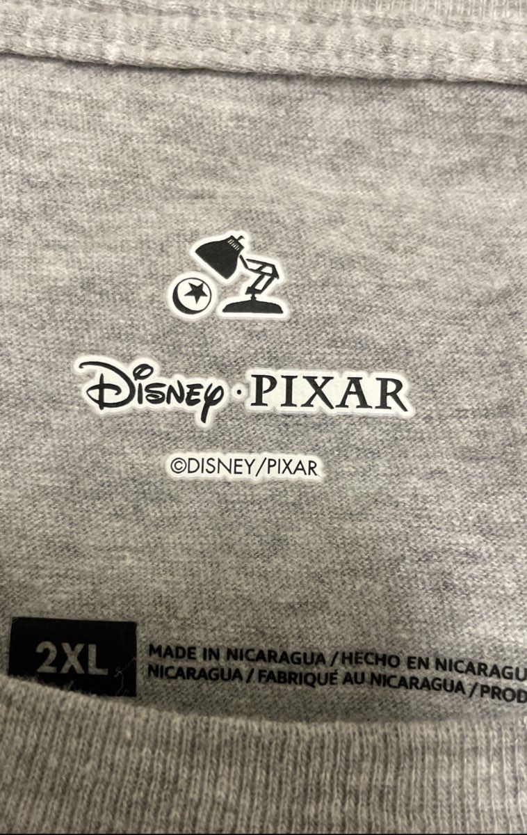 Disney Pixar Men's Monsters Inc Graphic T-Shirt Heather Gray Sulley Mike Sz 2XL