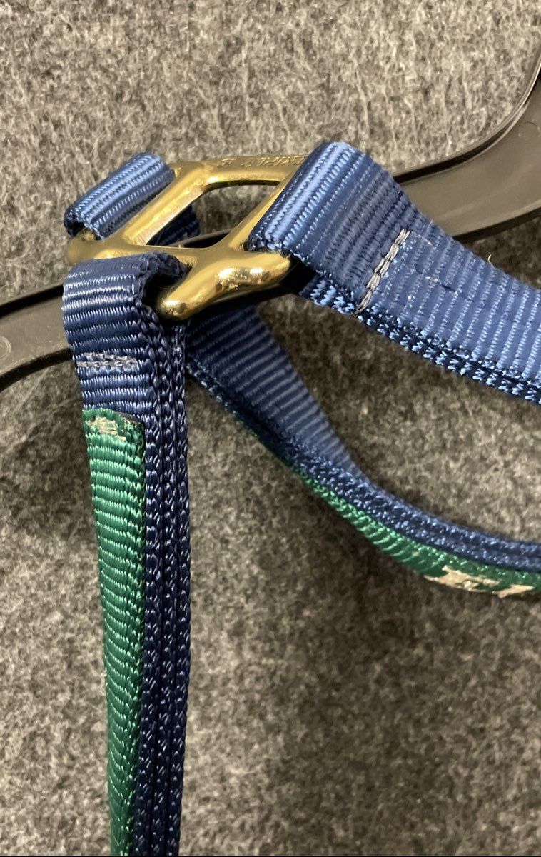 Triple E Horse Halter Blue Green Nylon Brass Hardware Personalized "ELLA"