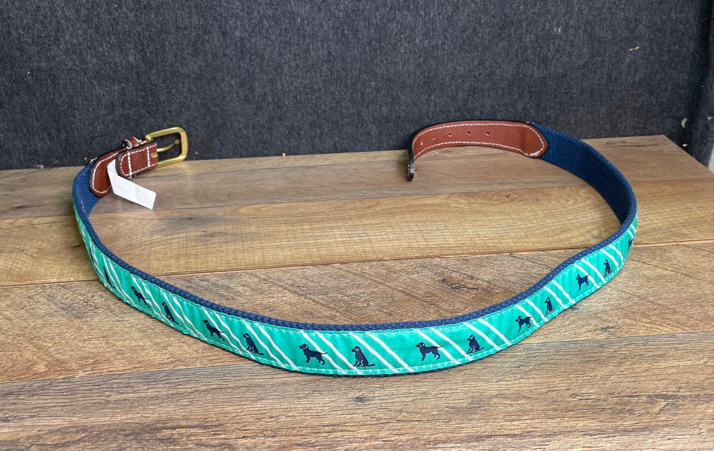 Simply Southern Men's Blue Teal Dog Ribbon Canvas Leather End Belt Sz 36 NWT