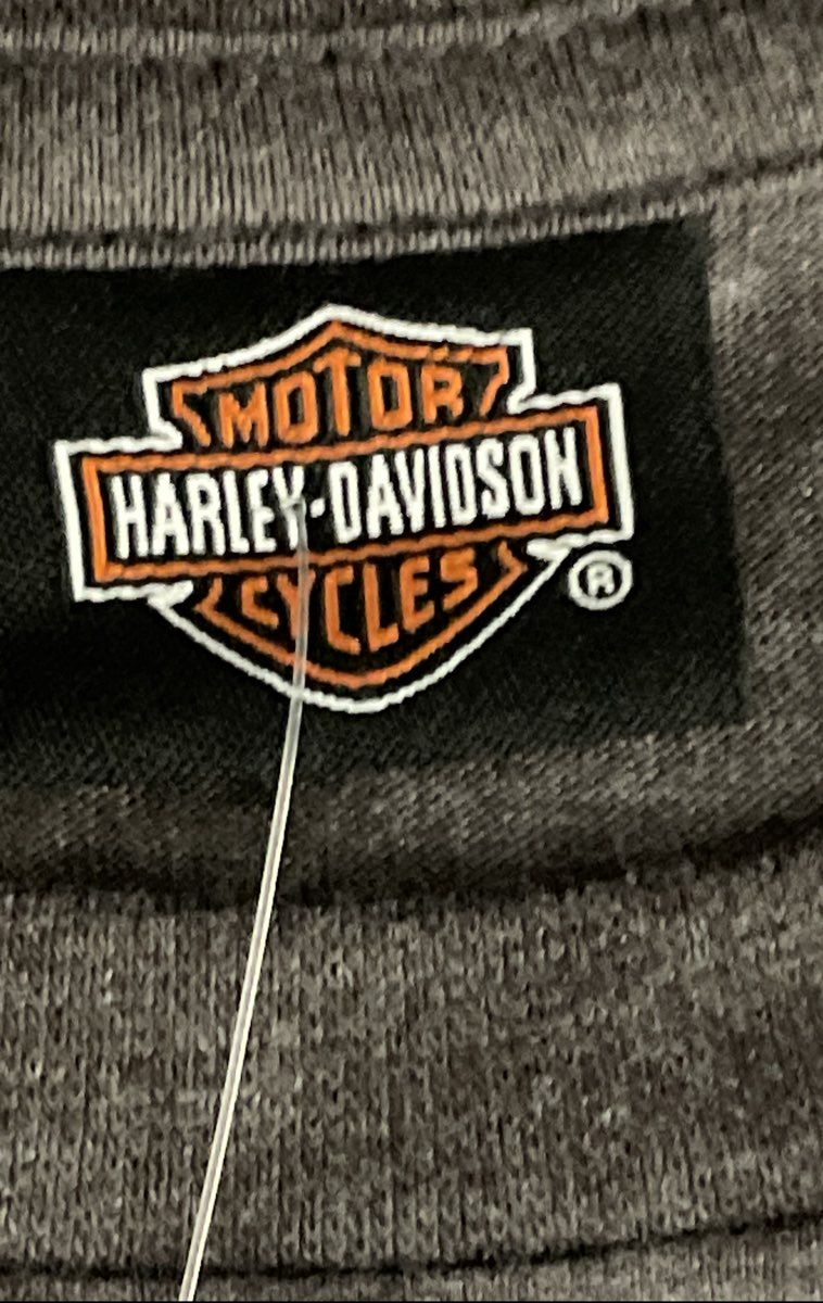 Harley-Davidson Sundance Wyoming Rainbow Logo Graphic T-Shirt Gray NWT Sz L