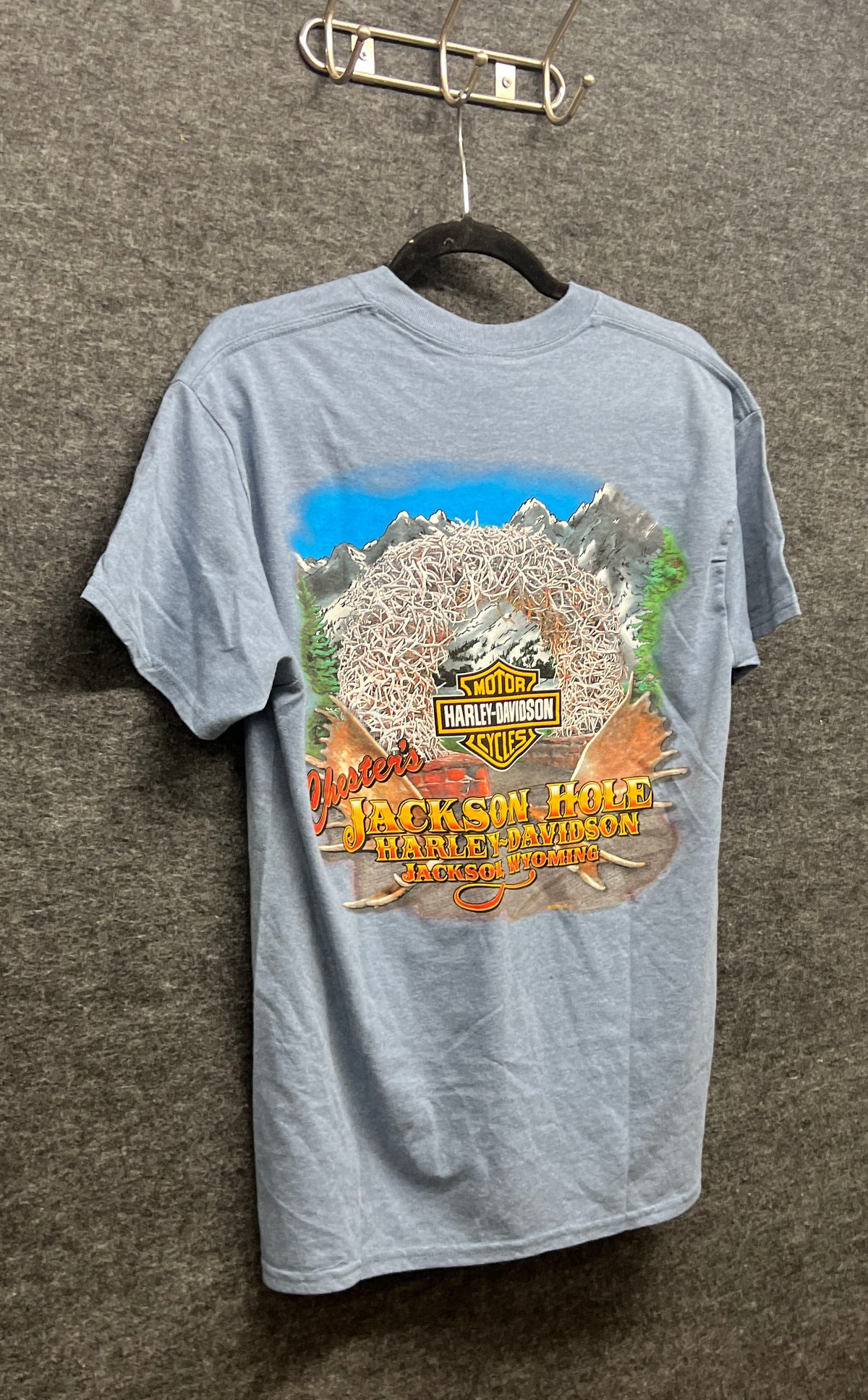 Harley-Davidson Jackson Hole Wyoming Graphic T-Shirt Blue Heather Sz M