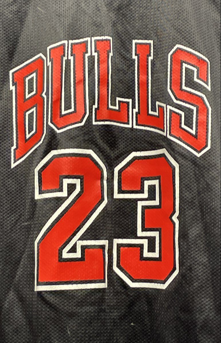 Vintage 90s Champion Michael Jordan Chicago Bulls NBA Jersey Youth Sz L 14-16