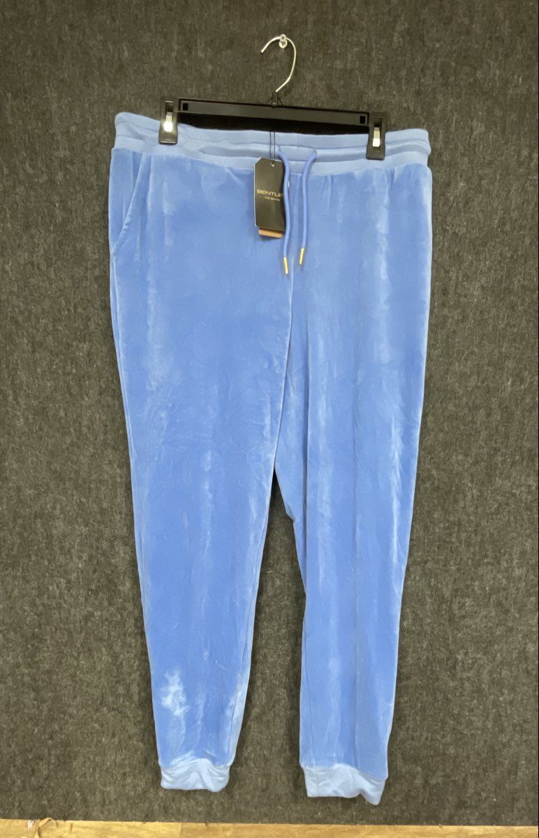 Bentley The Brand Women's Baby Blue Velour Joggers Sweatpants NWT Sz L
