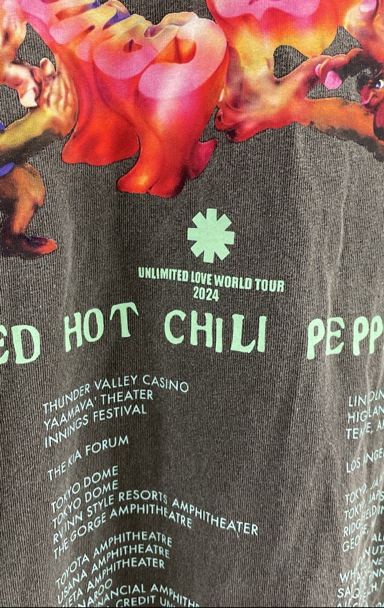 Red Hot Chili Peppers Unlimited Love 2024 World Tour T-Shirt Gray Sz L