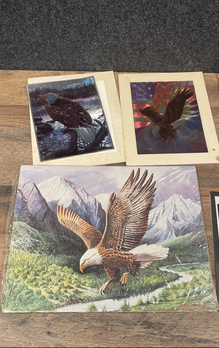 Lot of Vintage Eagle Art Prints & Photos Wildlife Signed Gene Chatlos 12x16