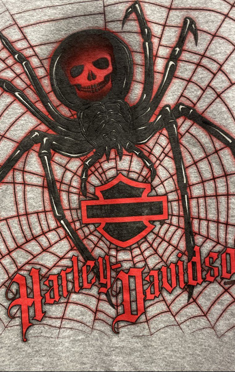 Harley-Davidson Skull Spider Web T-Shirt Stonewall Ruckersville VA Sz XL