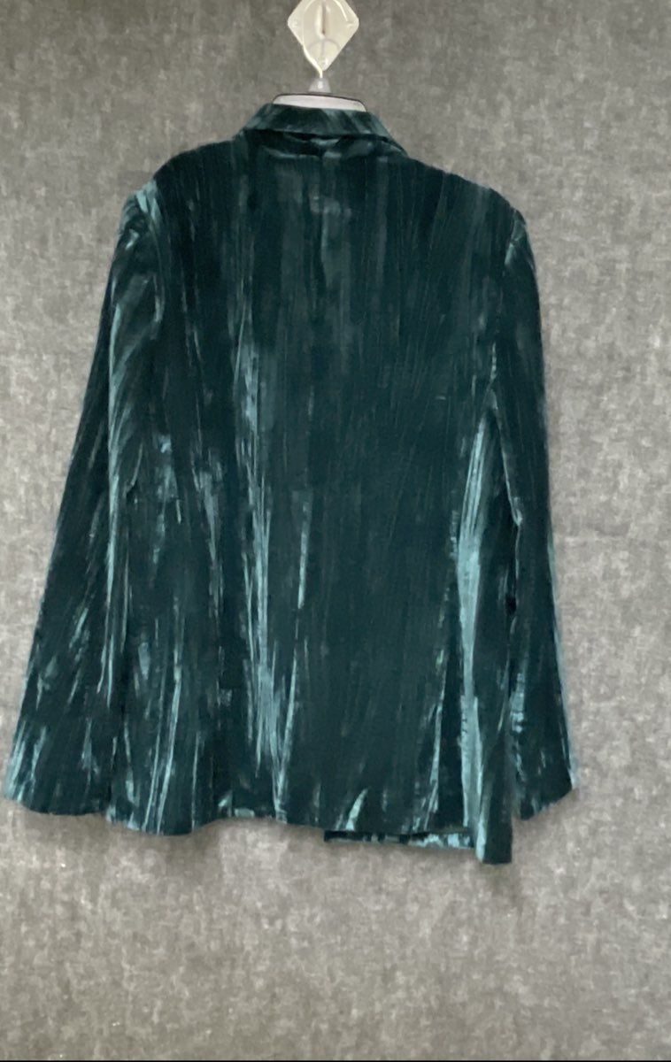 WAYF Women's Dark Green Crushed Velvet Long Sleeve Single Button Blazer Sz S