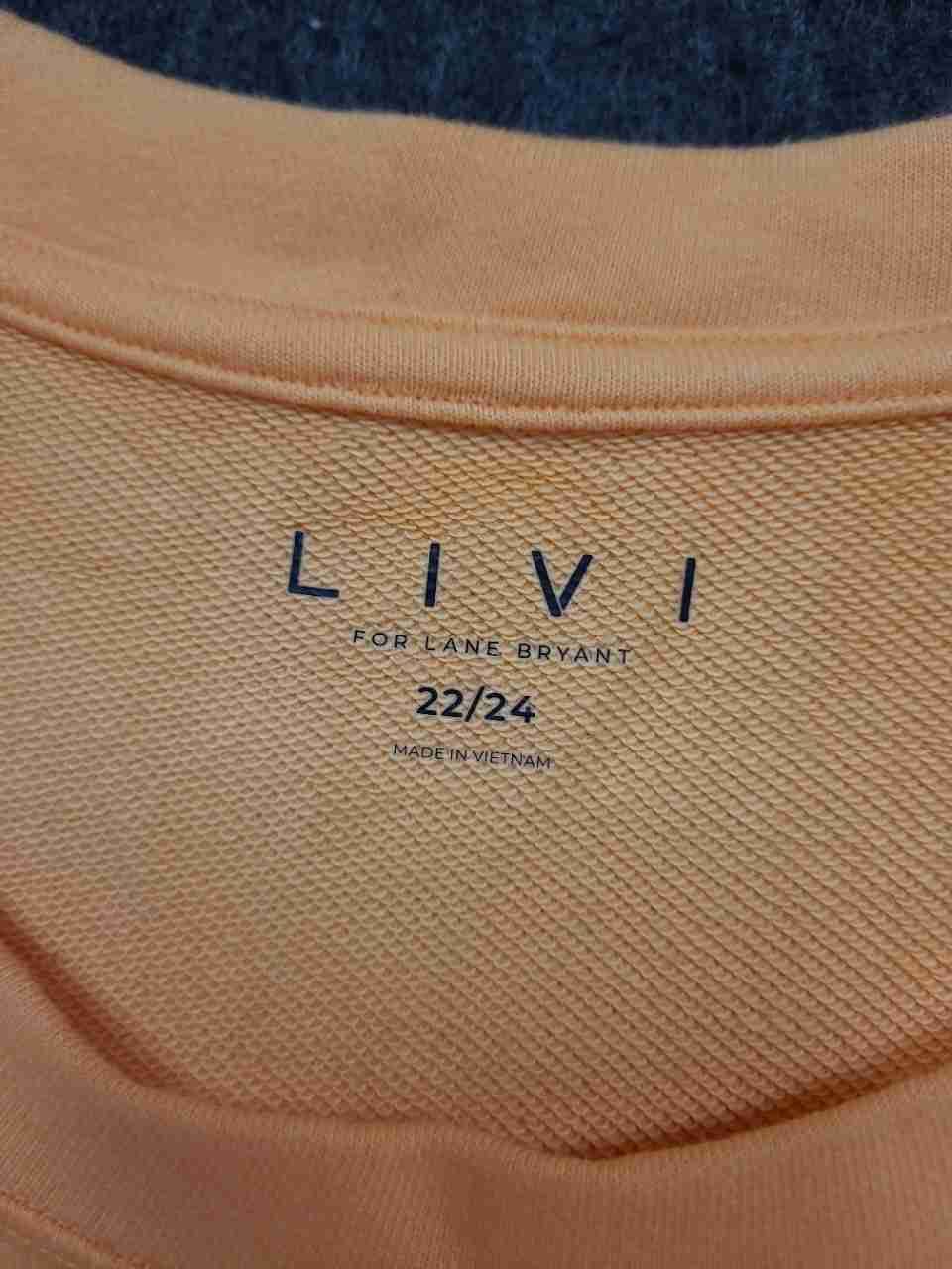 LIVI Lane Bryant Women's Sleeveless Ombre Tunic Top Sz 22/24 NWT