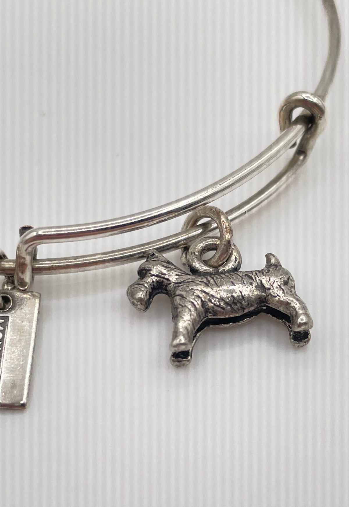 Alex And Ani Silver Tone Mixed Metal Monopoly Dog Charm Bangle Bracelet 9.8g