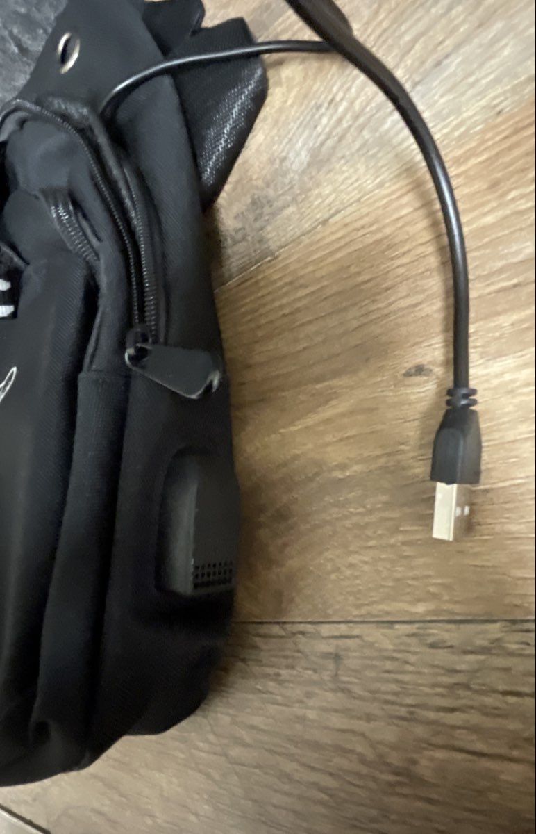 Kuchen & Bag.1980 Black Canvas Bear Graphic Sling Bag USB Port Crossbody