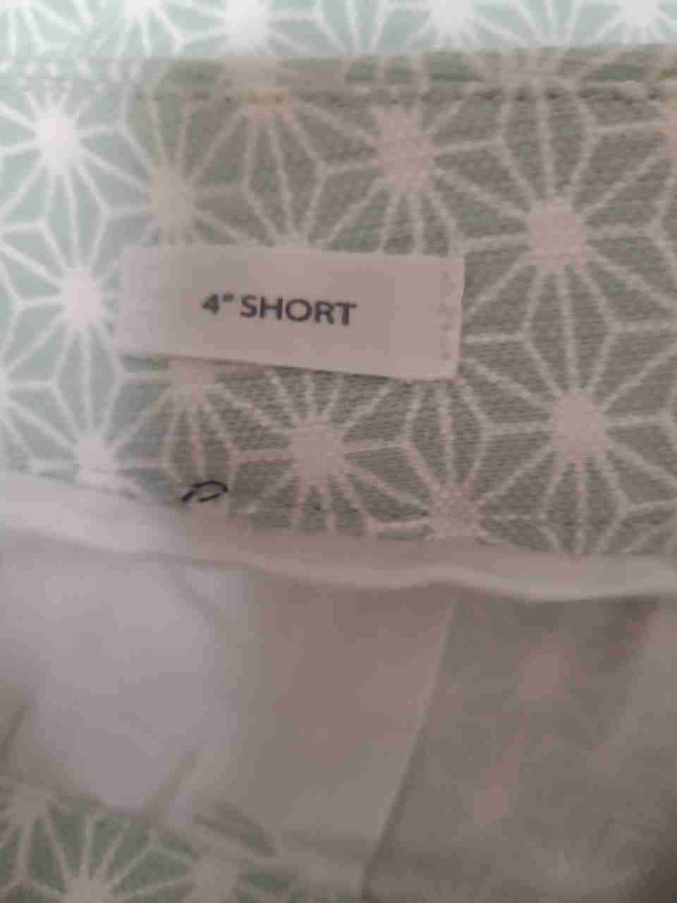 Loft Outlet Women's Light Green Geometric Starburst 4" Inseam Shorts Size 6