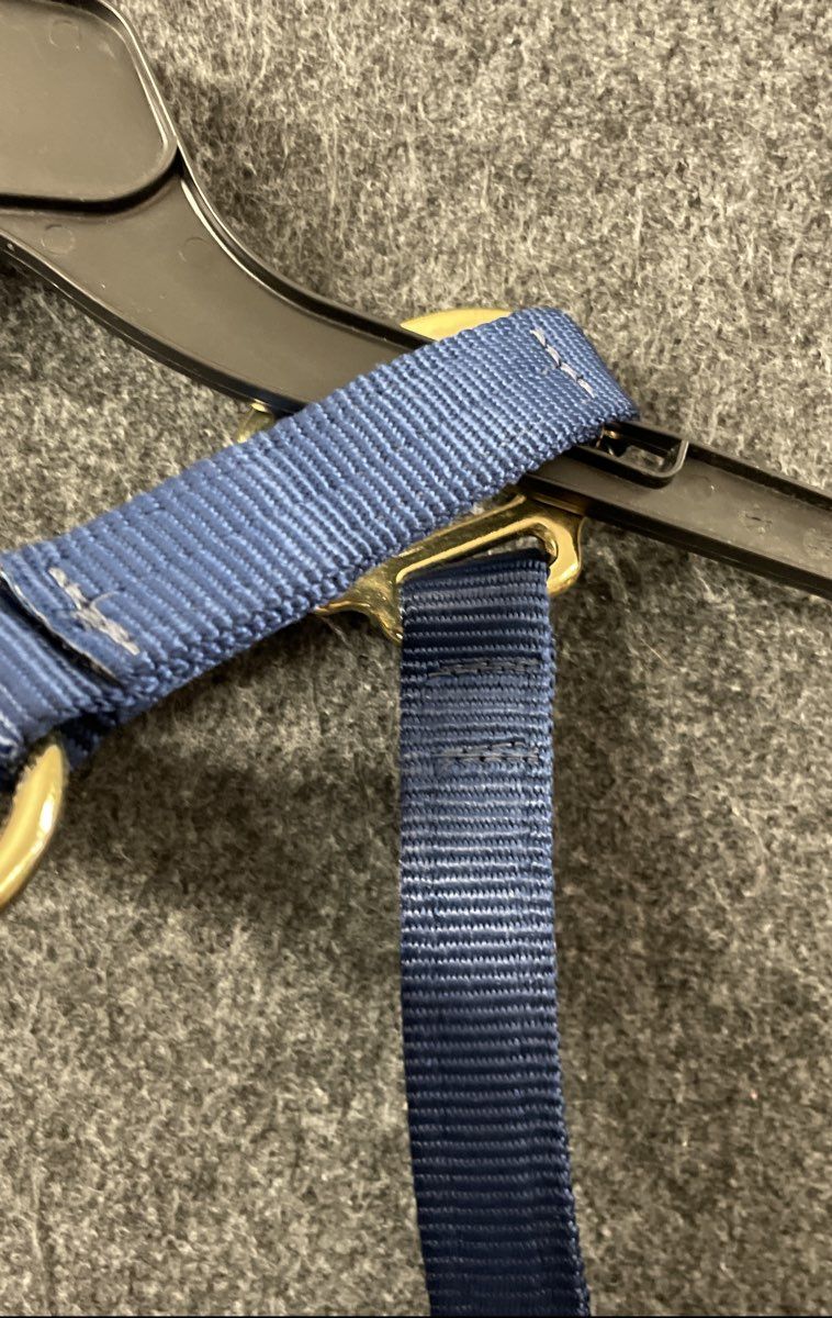 Triple E Horse Halter Blue Green Nylon Brass Hardware Personalized "ELLA"