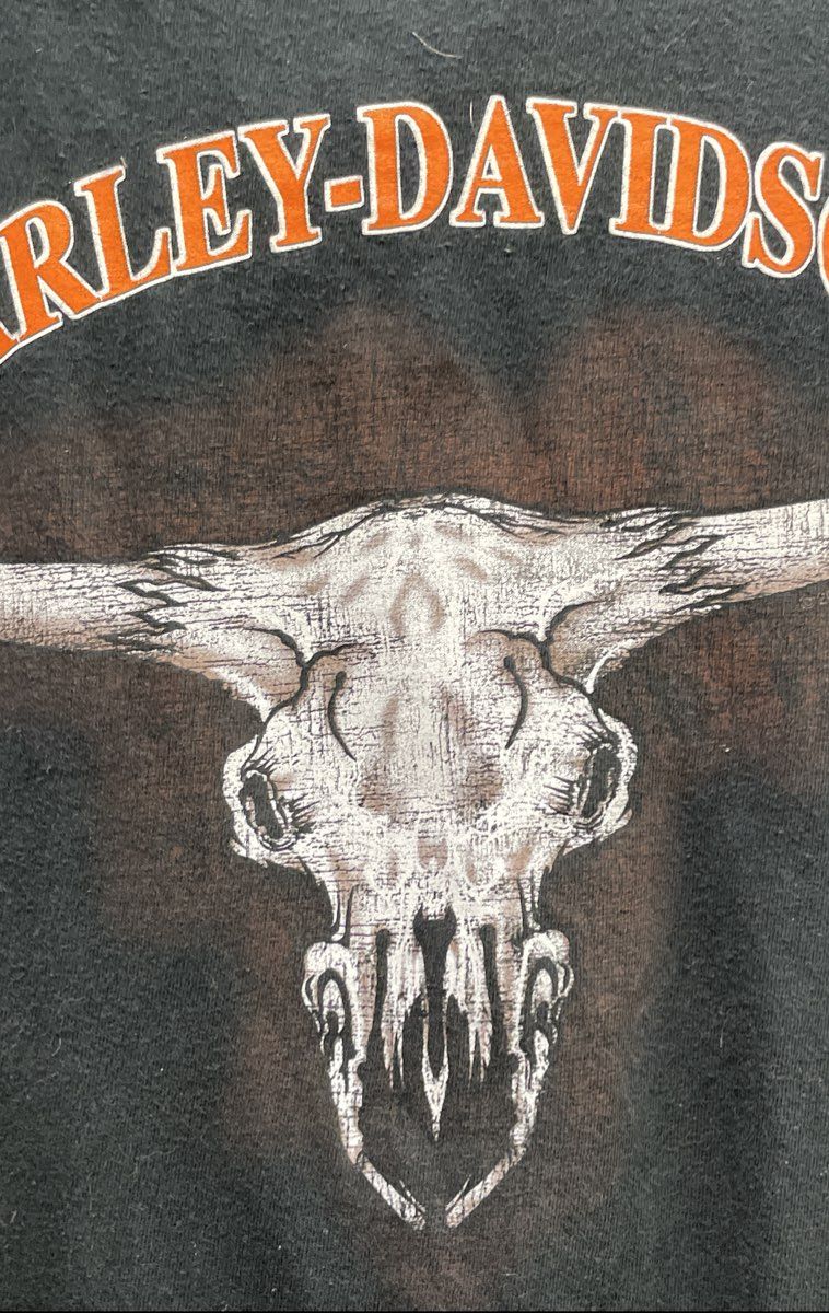 Harley-Davidson Cow Skull Graphic T-Shirt Double Stitch Black Sz L